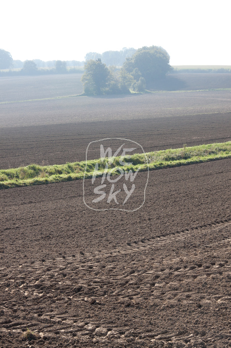 Acker im Gegenlicht