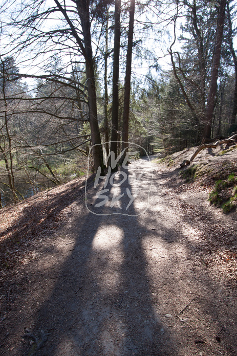 Baumschatten