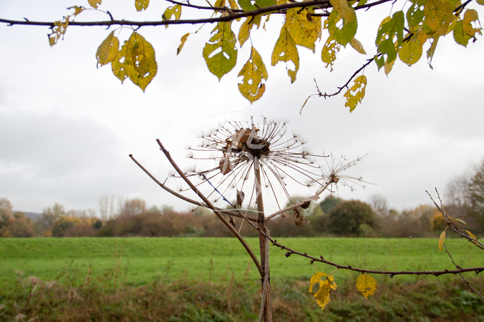 Herbstblues
