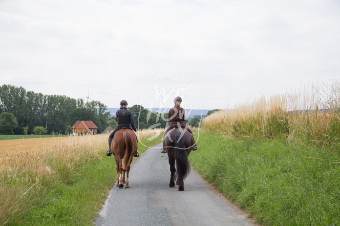 Reiter auf Feldweg