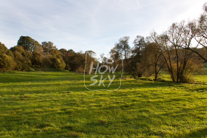 Herbstwiese
