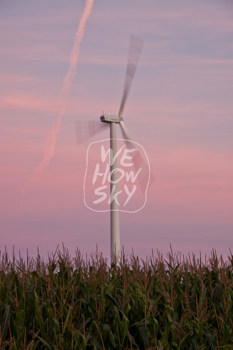 Windkraft im Sonnenuntergeng