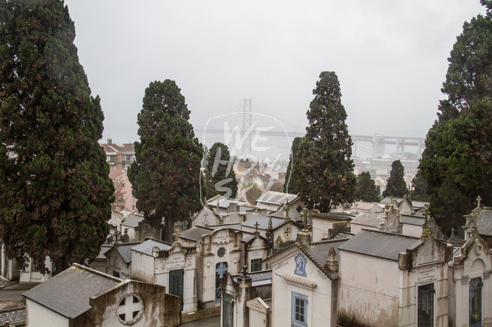 Friedhof Lissabon