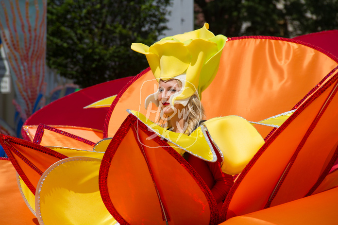 Carnival der Kulturen 2016