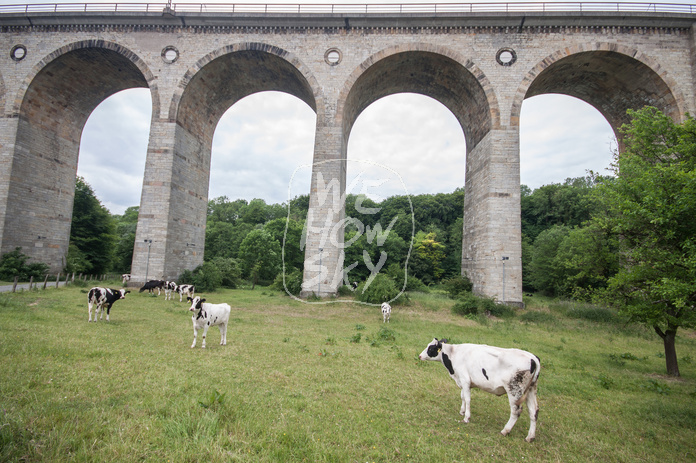 Viadukt Altenbeken