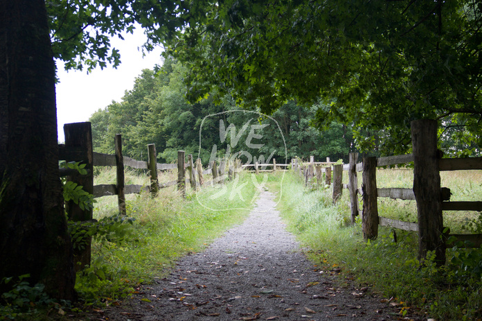 Weidezaun auz Holz