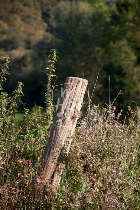 Holzpfosten