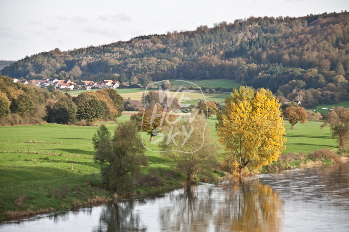 Bäume an Weserufer