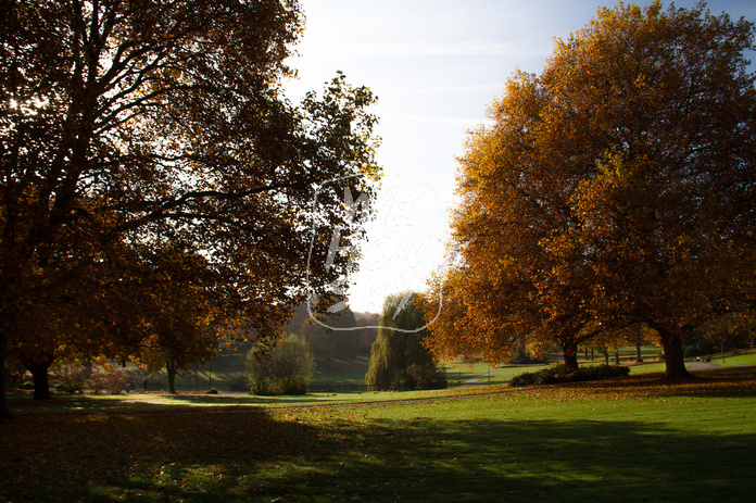Bürgerpark