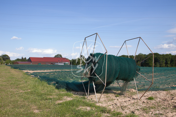 Abgedecktes Kohlrabifeld