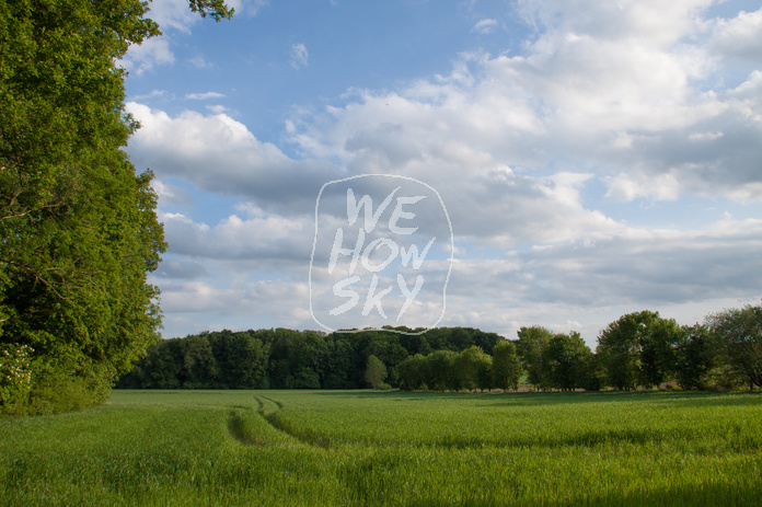 Acker am Waldrand