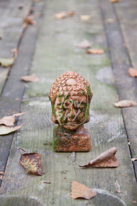 Buddhakopf