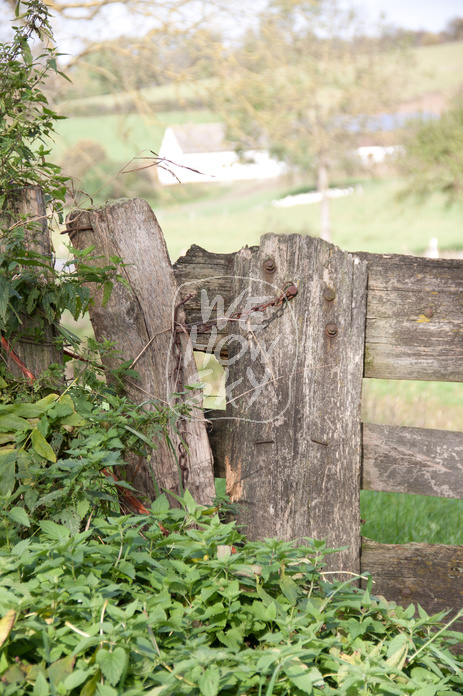 Weidezaun aus Holz