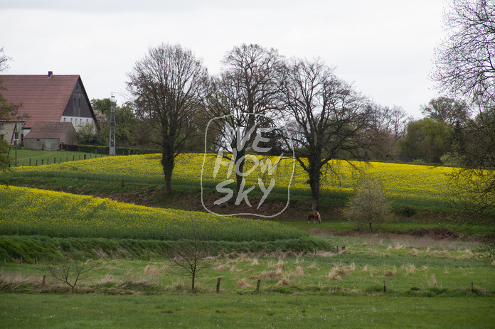 Bauernhaus im Frühling