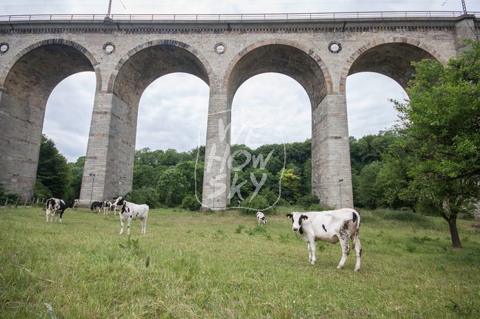 Viadukt Altenbeken