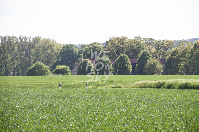 Acker im Gegenlicht