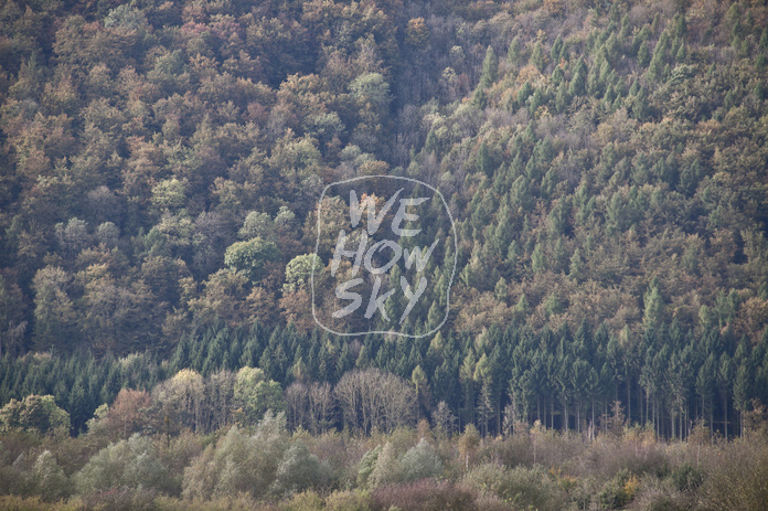 Bewaldeter Bergrücken