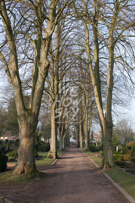 Friedhofsallee