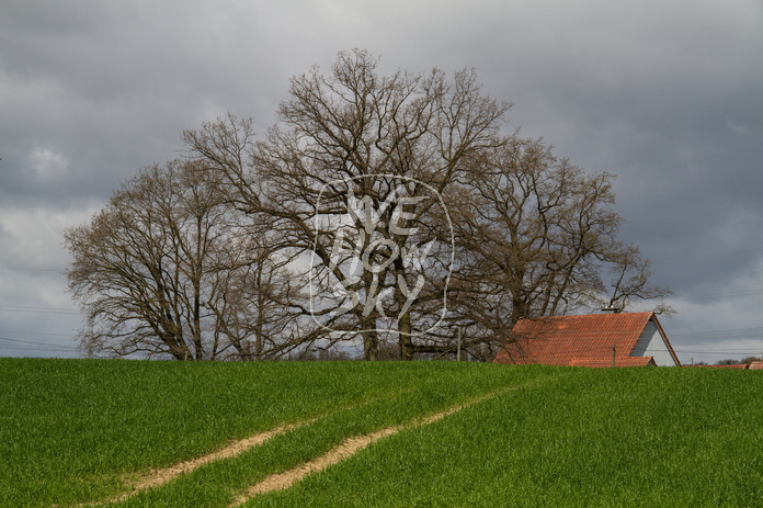 Bauernhaus im Frühling