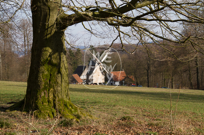 Windmühle Bauernhausmuseum