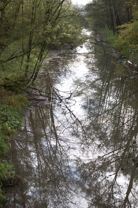 Naturbelassener Bach