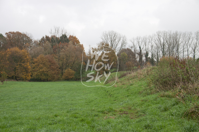 Herbstwiese