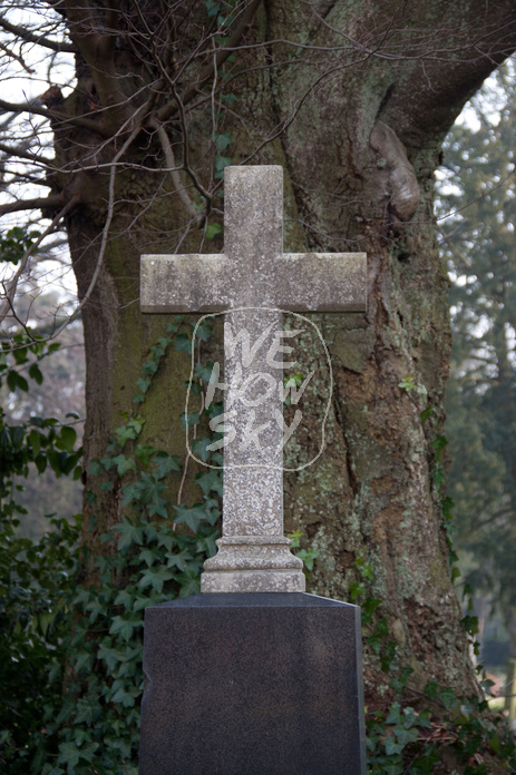 Grabkreuz vor Baumstamm