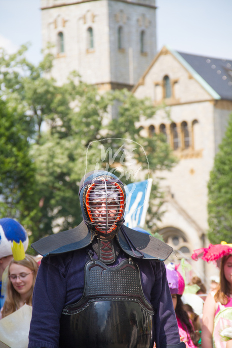 Carnival der Kulturen 2016