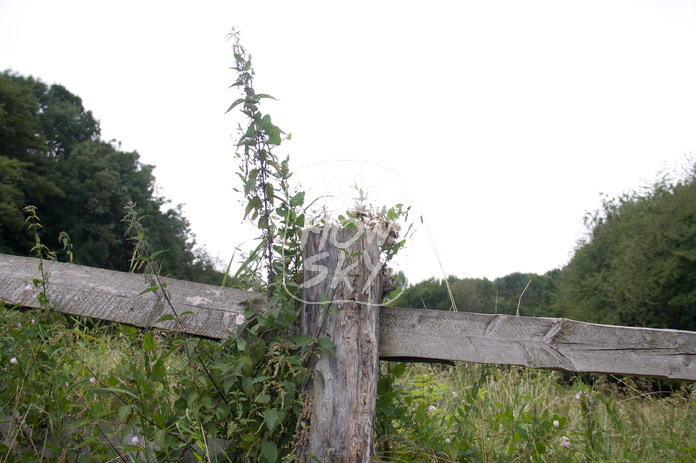 Weidezaun auz Holz