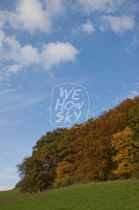 Herbstwald