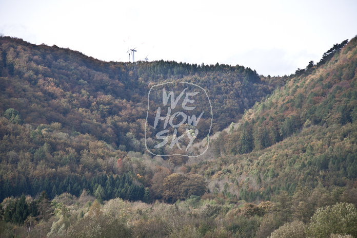 Bewaldeter Bergrücken
