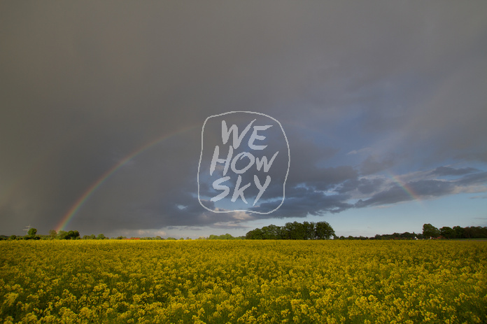 Regenbogen hinter Rapsfeld