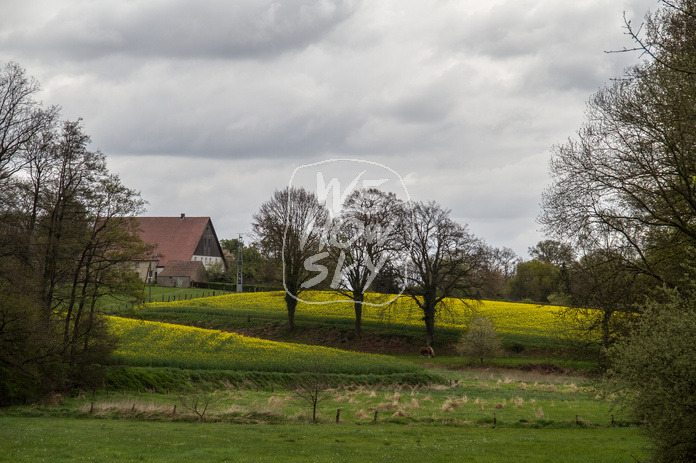 Bauernhaus im Frühling