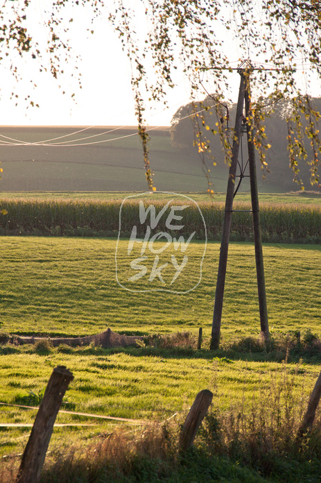 Blick über Wiesen