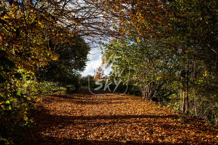 Herbst