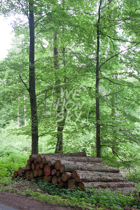 Holzstapel
