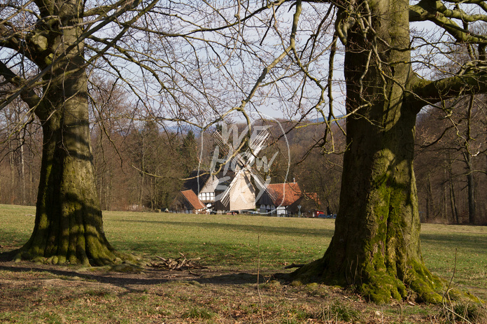 Windmühle Bauernhausmuseum