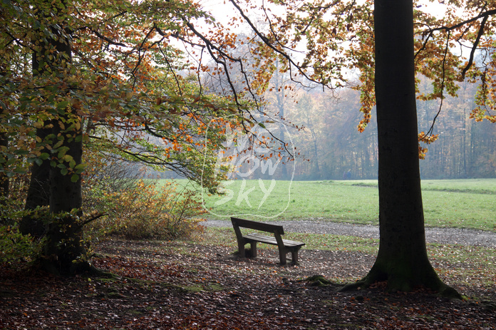 Sitzbänke im Herbstwald