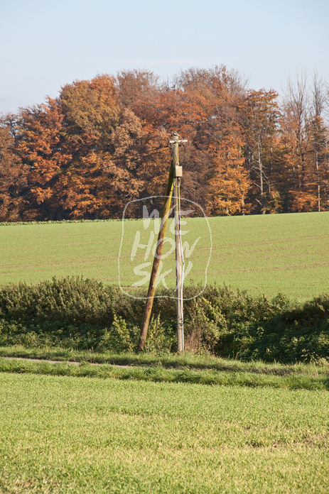 Leitungsmast Telefon