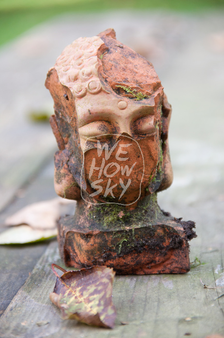 Buddhakopf
