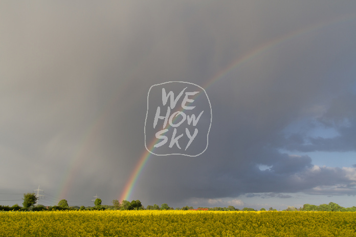 Regenbogen hinter Rapsfeld