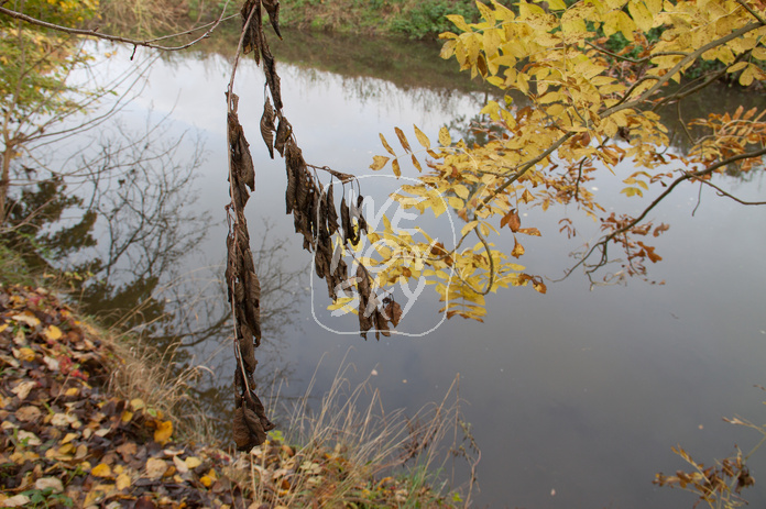 Herbstfluß