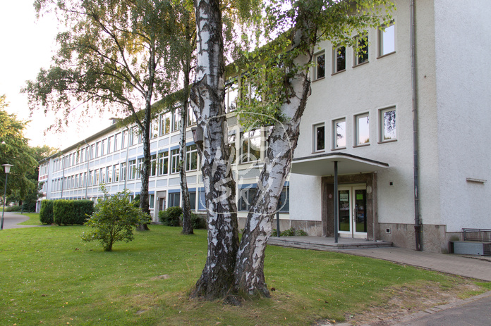 Birkenpaar