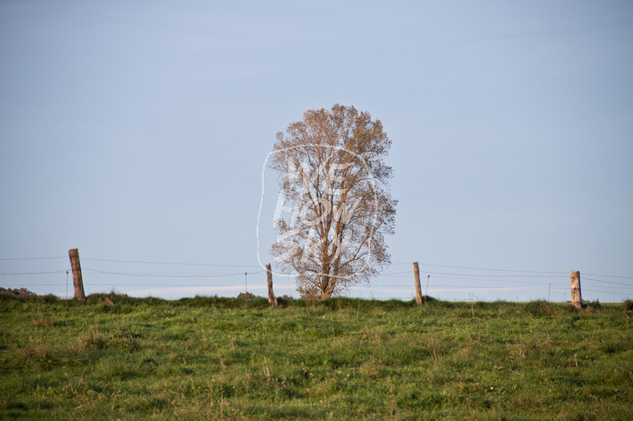Stacheldrahtzaun mit Holzpfosten