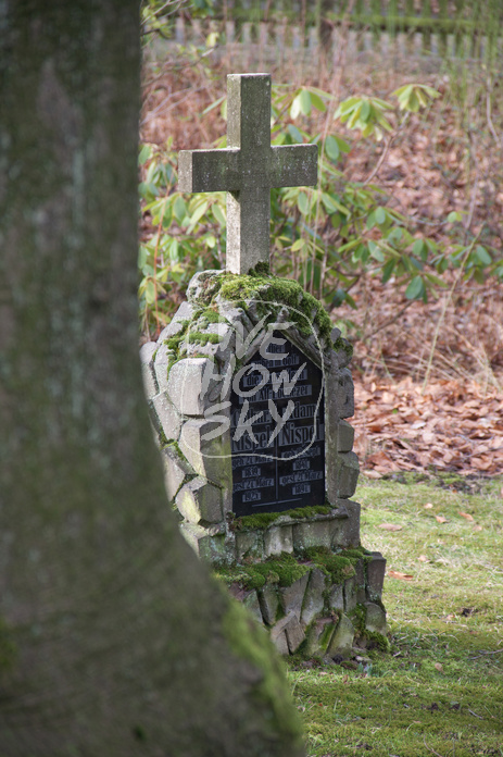 Altes Grab hinter Buche