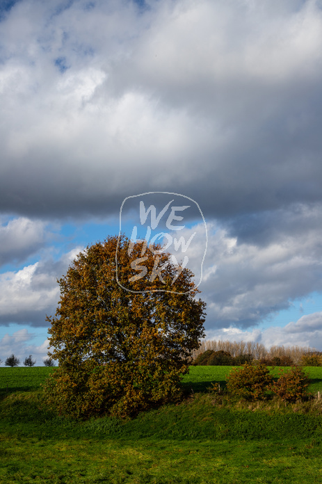 Herbst