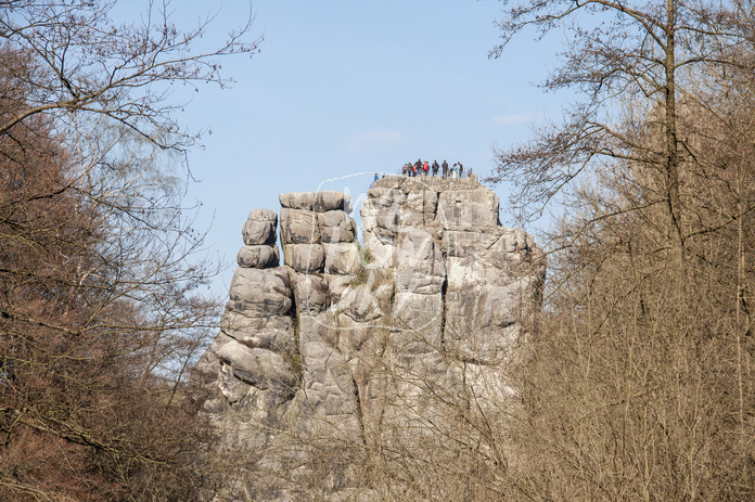 Externstein durch Bäume