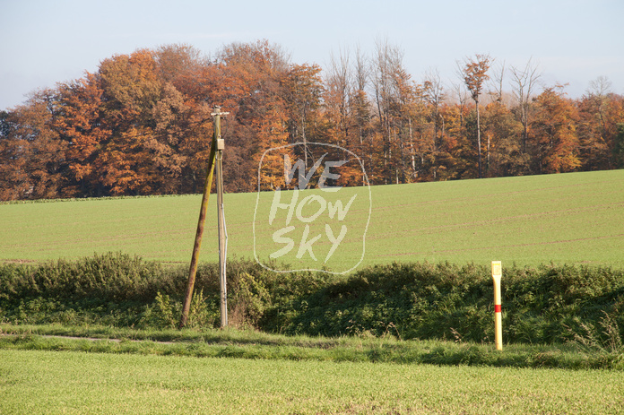 Leitungsmast Telefon