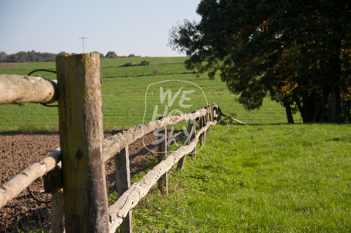 Holzweidezaun