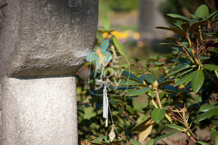 Grabstein mit Schmetterling